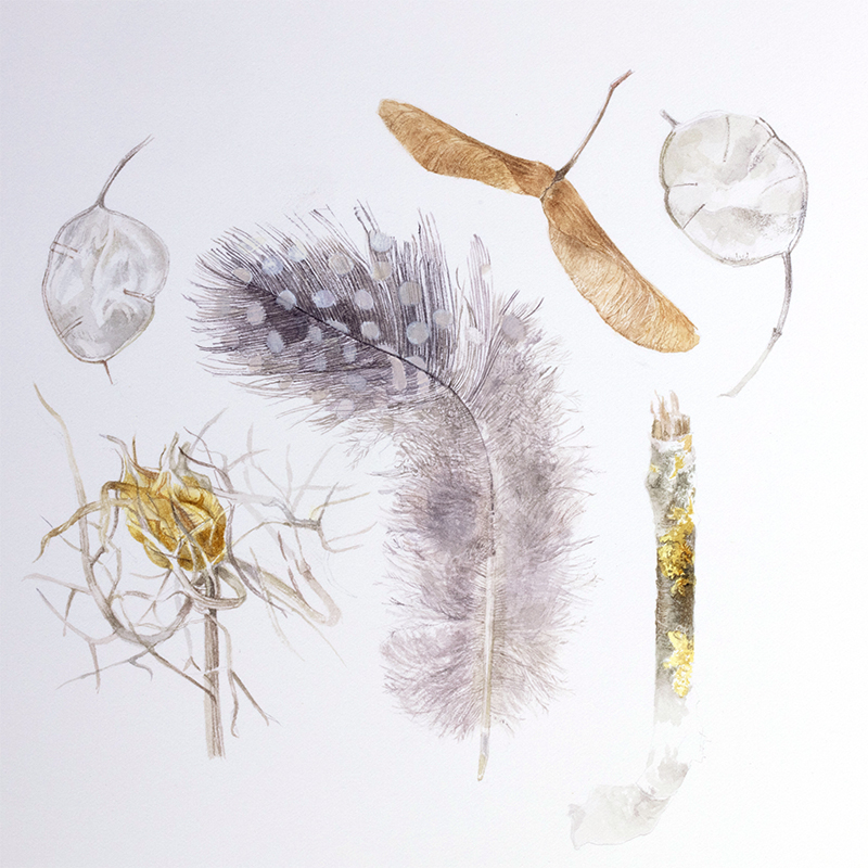  Nature Table 